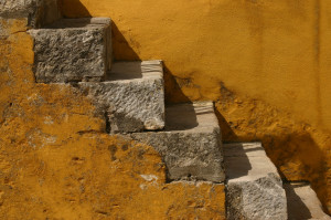 Local Landscape & Architecture