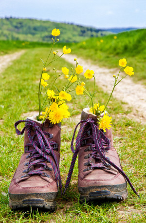 How to use our walking notes